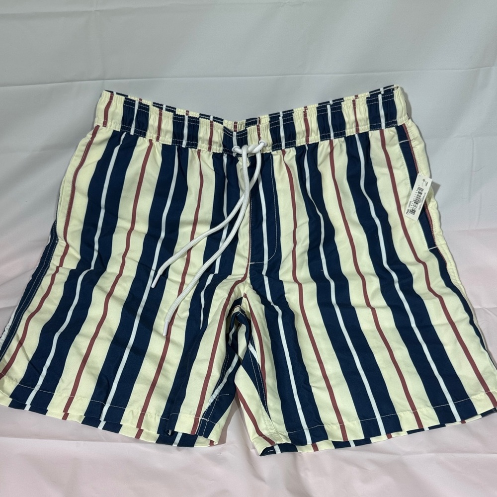 Amazon Essentials Men's Navy and White Striped Swim Trunks